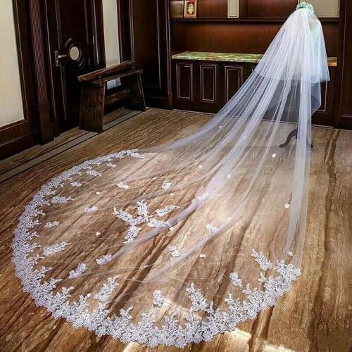 Romantic 2019 Wedding Veils Cathedral Length Bridal Veils Lace Edge with Blusher Face Appliqued 3m Long 2T Customized