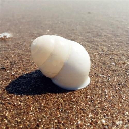 Rare natural conch shell spiral white millet 4-5CM white snail snail aquarium home decoration collection gift DIY