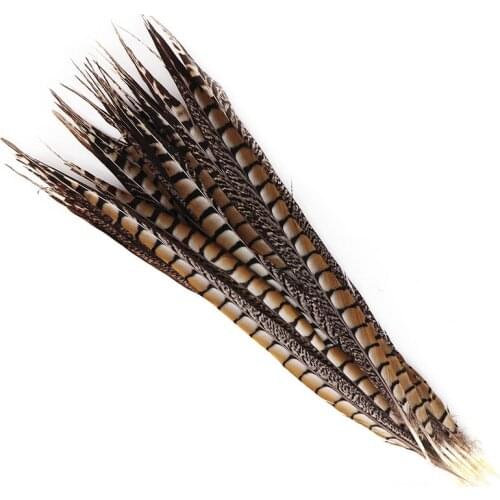 Natural Color Pheasant Tail Feathers 60CM-70cm 24-28 Inch for Festival Party Decoration feather Plumes Wholesale