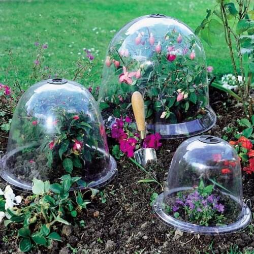 Garden Cloche Plastic Protective Plant Bells Dome Breathable Covers Thermal Insulation Moisturize for Succulent Plant Greenhouse