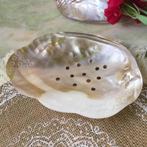Creative Natural Shell Soap Holder Tray Hand Made Home Crafts Decoration Bathroom Supplies Drainer Organizer Photography Props