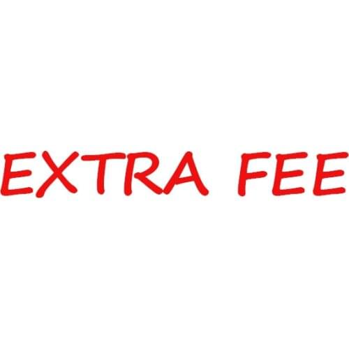 KingSpec Extra Fee