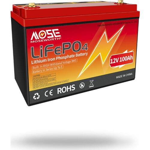 LiFePO4 Battery 12V 100Ah Deep Cycle Lithium Iron Phosphate Battery Built-in BMS for RV/Camping,Off Grid Applications,etc