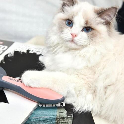 High Quality Pet Comb Float Automatic Hair Removal Teddy Flea Comb Large Dog Golden Bristle Brush Combs Rabbit Cat Grooming Comb