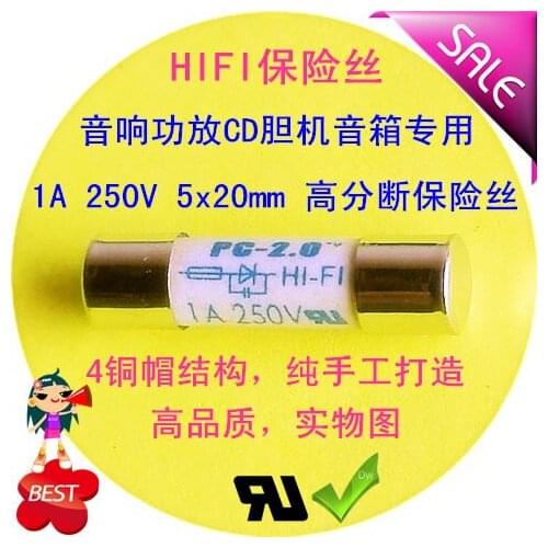 5x20mm 1A 250V HIFI Silver-plated Fuse CD Amplifier Speaker Amplifier Audio Fuse Tube