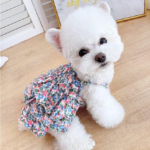Summer Cat Dress Dog Tutu Skirt Corgi Puppy Doggie Costume Yorkshire Terrier Pomeranian Clothes Poodle Bichon Schnauzer Clothing