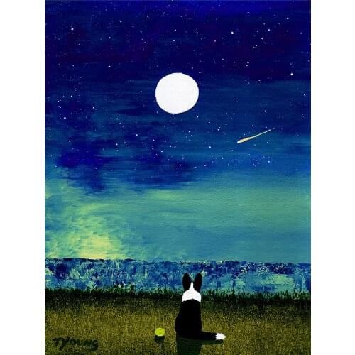 Animal Border Collie Printed Fabric 11CT Cross-Stitch Embroidery Kit DMC Threads Sewing Needlework Hobby Painting Wholesale