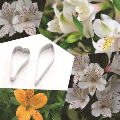 Alstroemeria 2Pcs Stainless Stell Cookie Cutter Pastry & Biscuit Baking Cutter Cake Decorating Tools Cupcake Mold Fondant Tools