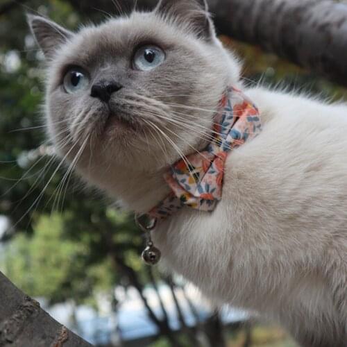 Pet Accessories Cats Kittens Necklaces Cat Collar and Leads Carries Supplies Collars and Guides Puppy Necklace for Animals Cats