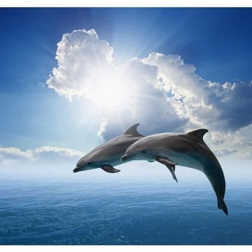 DIY Square Diamond Painting Dolphin Cross Stitch Kits Mosaic Kit crystal Handmade Embroidery Beads Patterns Rhinestone HL774