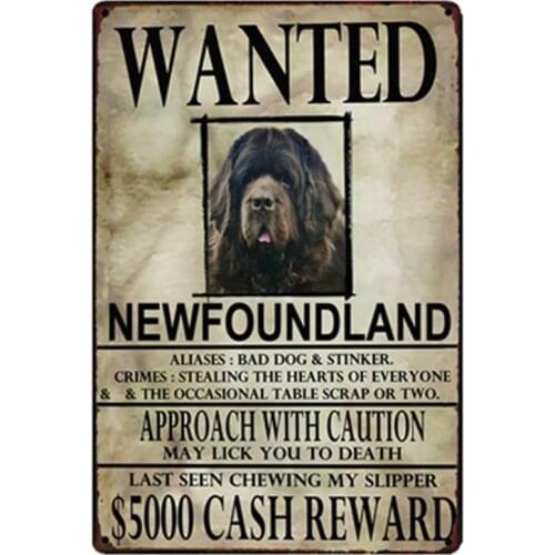 [ Kelly66 ] Newfoundland Dogs Wanied Metal Sign Tin Poster Home Decor Bar Wall Art Painting 20*30 CM Size y-2092