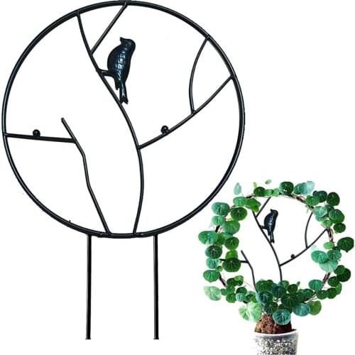 Plant Climbing Frame Indoor Plant Growing Straight Healthily Round Garden Trellis Metallic 30CM Flower Stand Plant Supports