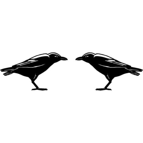 14.4X8.2CM 2X RAVEN BIRD Left&Right Funny Vinyl Decals Black Silver Car Stickers S6-2393