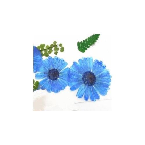 12pcs,Natural Pressed Flowers rose Real Dried Calendula,DIY Art Craft Valentines gift Bookmark Decoration,Scented candle decor