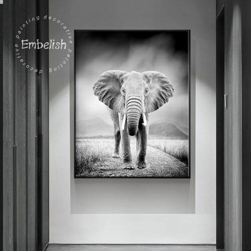 Embelish Hot Black And White Wild Animals Lions Pictures For Living Room Modern Home Decor Wall Art Posters Canvas Paintings