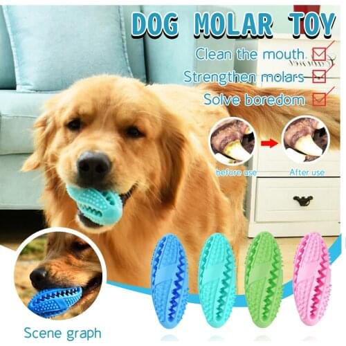 The New Pet Toys Cat And Dogs Chew Interactive Toy For Dog Care Dog Chew Toy Dog Toothbrush Spherical Food Dispenser Pet Dog Toy