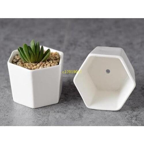 300pcs ceramic bonsai pots wholesale mini white porcelain flowerpots suppliers for seeding succulent indoor home Nursery planter