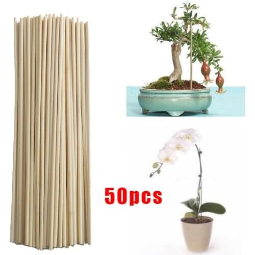 50Pcs Wooden Plants Grow Support Bamboo Sticks Garden Flower Support Stick Cane DIY Building Model Materials