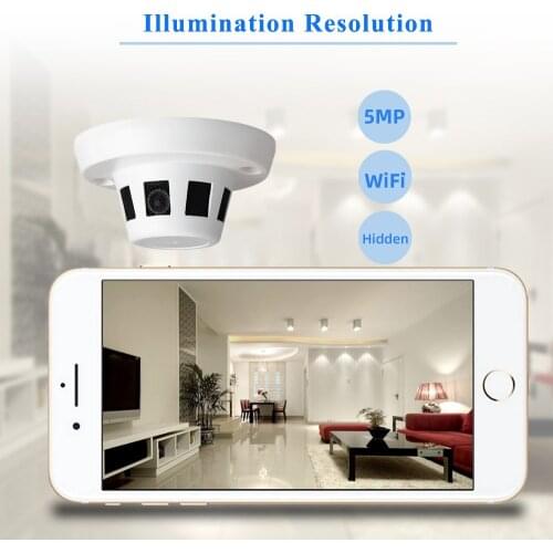 Goveisee Hidden CCTV Cameras