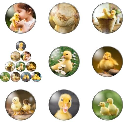 Lovely Duck Cute Animals Round Photo Glass Cabochon Demo Flat Back Making Findings Handmade DIY Accessories