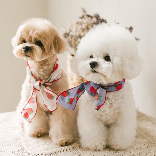 Cute Dog Accessories Printed Bow Silk Pet Scarf for Small Dogs Sweet Spring Pet Supplies for Yorkshire Chihuahua Dropshipping