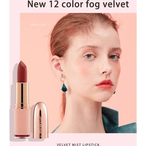 12 Colors Smooth Velvet Matte Lipstick Sexy Delicate Waterproof Sweatproof Moisturizing Langdurige Natural Cosmetics TSLM2