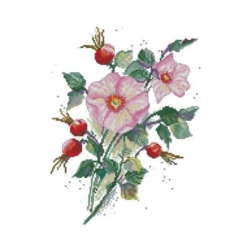 Wild Rose in May Needlework,For Embroidery,DIY 14CT Unprinted Arts Cross stitch kits Set Cross-Stitching Home Decor