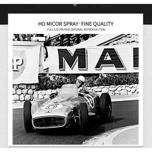 Stirling Moss 1955 Monaco Grand Prix Poster Canvas Painting Print Room Decor Wall Art Picture for Living Room Home Decoration
