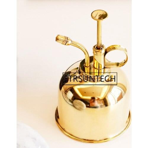 12pcs Nordic Style Vintage Brass Watering Bottle Succulent Plants Golden Gardening Spraying Cans Garden Tools