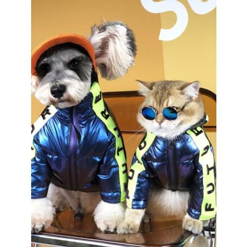 Winter Clothes For Cat Small Dogs Thick Padded Coat For Puppy Schnauzer Pet Hoodies Chihuahua French bulldog Pet Warm Coat