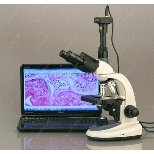 Laboratory Microscope-AmScope Supplies 40X-1000X 3W LED Trinocular Compound Microscope