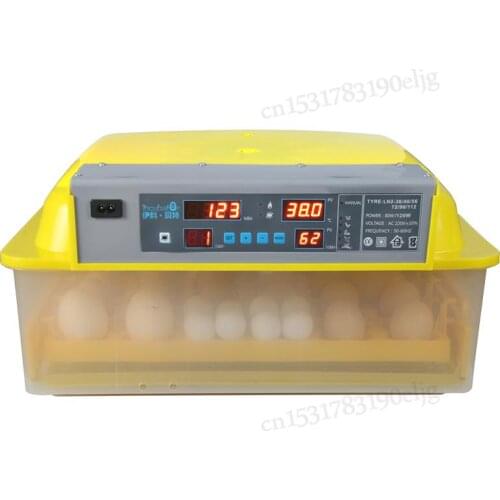 Incubator Incubator Fully Automatic Incubator Small Household Chick Duck Goose Egg Incubator