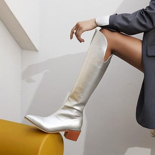 Arden Furtado Winter fashion pointed toe serpentine womens shoes With low square heels yellow black grey silver Knee high boots