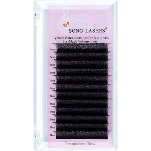 SONG LASHES 3D Premade Volume Fans W Shaped Eyelashes Extension 3 Tip C/D Curl High Quality Idividual Lash Premade Fans