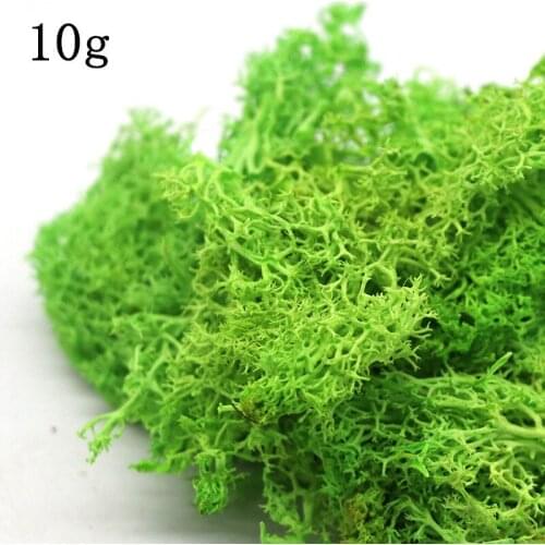 10g Natural Artificial Moss Dried Grass Accessories Wedding Ornament Garden Wall Decoration Home Decor DIY Preserved Flowers