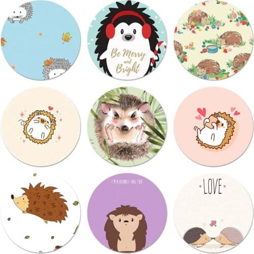 58mm Cartoon Hedgehog Animal Cool Icons Pins Badge Decoration Brooches Metal Badges For Clothes Backpack Decoration