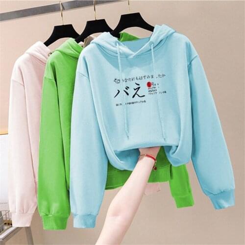 Turtleneck vests women 2019 autumn and winter new loose size hoods and velvet padded jacket sweatshirt kpop Hoodies pink clothes