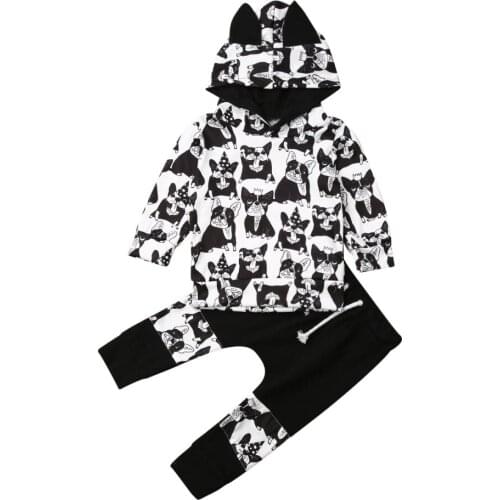 Citgeett Spring 0-24M Infant Baby Girl Boy Clothes Long Sleeve Cartoon Dog Hooded Tops+Pants Outfit Set