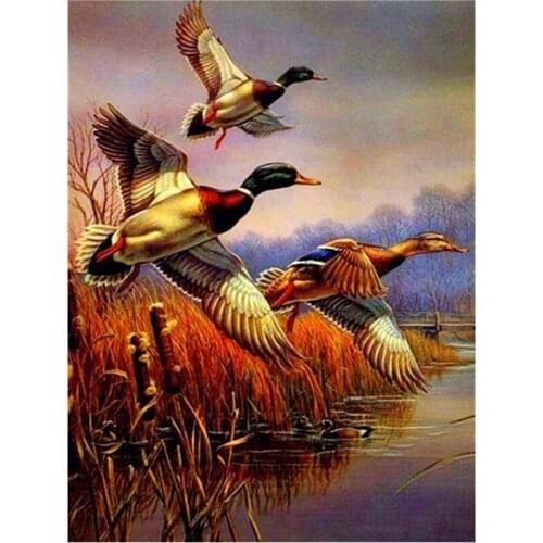 Wild Mallard Diamond Painting Environmental Protection 5D Diamond Embroidered Wall Diamond Inlaid Home Room Decoration XN1427