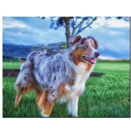 Diamond Painting Dog Australian Shepherd 5d diy Handmade Full Square round drill Picture Of Rhinestone Diamond Embroidery