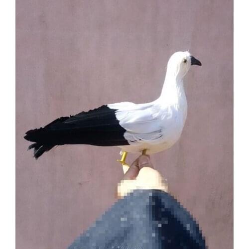 Simulation Seagull toy plastic & feather black tail standing bird gift about 30x20cm 1616