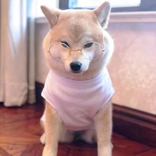 Summer Cotton Cooling Vest Pet Dog T-shirt for Small Medium Dogs Yorkie Pug Clothes Puppy French Bulldog Dropshipping DOC02