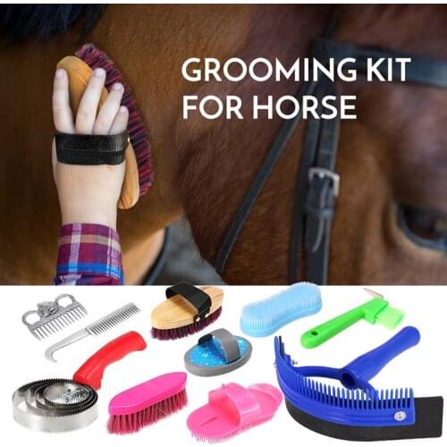 10-IN-1 Horse Grooming Tool Set Bathing Cleaning Supplies Horse Hairs Combs Massage Curry Brush Sweat Cleaning Kit Scrubber