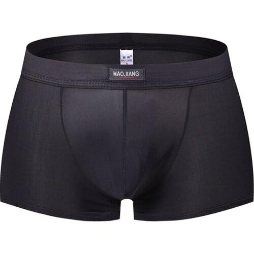 Brand Men Underwear Sexy Gay Mens Underpants Erotic Mens Ice Silk Panties Boxers Pouch Underwear Man Sissy Lingerie For Men