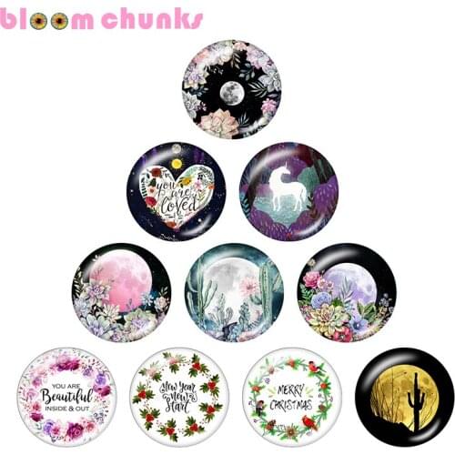 Flower Succulent moon Christmas 12mm/18mm Round glass cabochon flat back Making findings snap button jewelry C1566
