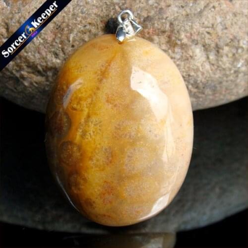New Hot Selling Natural Stone Crinoid Fossil Necklace Jewelry Chrysanthemum Stone Healing Reiki Pendant For Men Women HS336