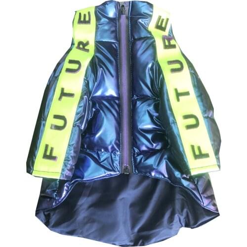 Autumn Winter Clothes For Dogs Letters Printed Waterproof Down Jacket Thicken Hoodie For Small Medium Dogs Puppy