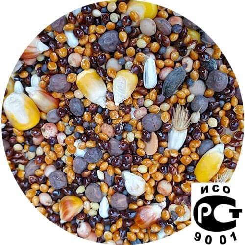 Звента Dry Bird Feed