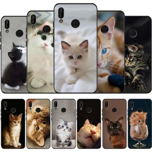 Funny Cat black soft Phone Case for huawei P40 P30 P20 Pro lite P9 Lite Psmart 2019 Y6 Y9 Prime mate40 30 20 luxury cover