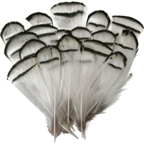 Wholesale Natural Pheasant Feather 5-8 CM 2-3 inch length Chicken Feathers for Crafts DIY jewelry Accessories Decorative Plumes